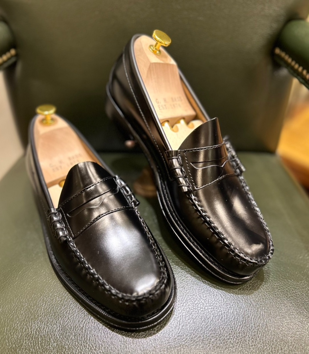 【橋本シャーン】Makuhari Gardenwalk 橋本シャーン】Makuhari Gardenwalk Makuhari Kaihin Park (2025