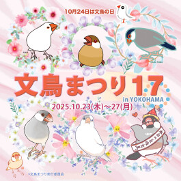 文鳥まつり17 in YOKOHAMA