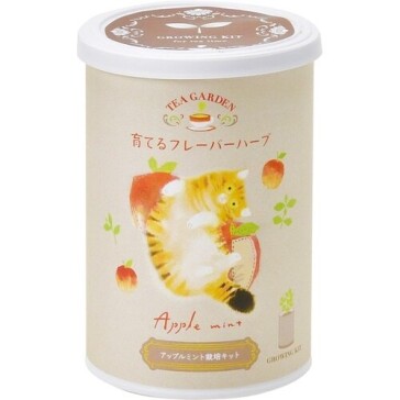 7F 育てるフレーバーハーブ　アップルミント