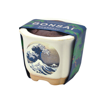 聖新陶芸 BONSAI 波富士