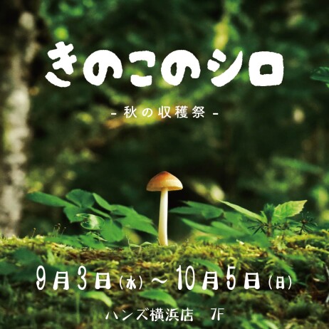 きのこのシロ -秋の収穫祭-